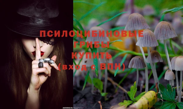 метадон Аркадак