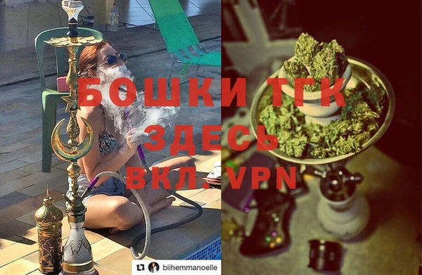шишки Армянск