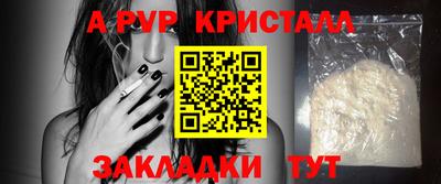 шишки Новодвинск