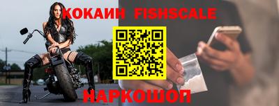 шишки Новодвинск