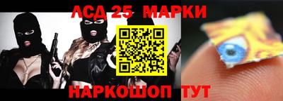 шишки Новодвинск