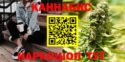 шишки Новодвинск