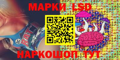 шишки Новодвинск