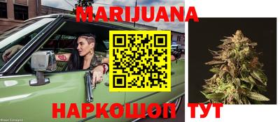 шишки Новодвинск