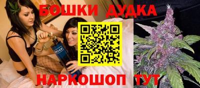 МДПВ Новокубанск