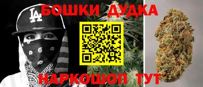 шишки Новодвинск