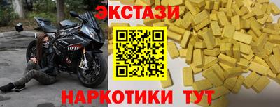 шишки Новодвинск