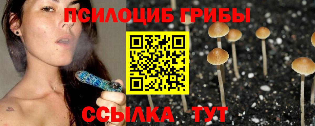 Псилоцибиновые грибы Cubensis  Вход с VPN  Чапаевск 
